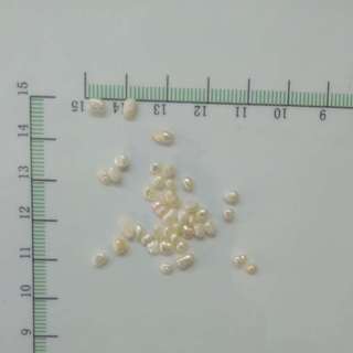 食用珍珠 特大0.2-0.25cm 浙江
